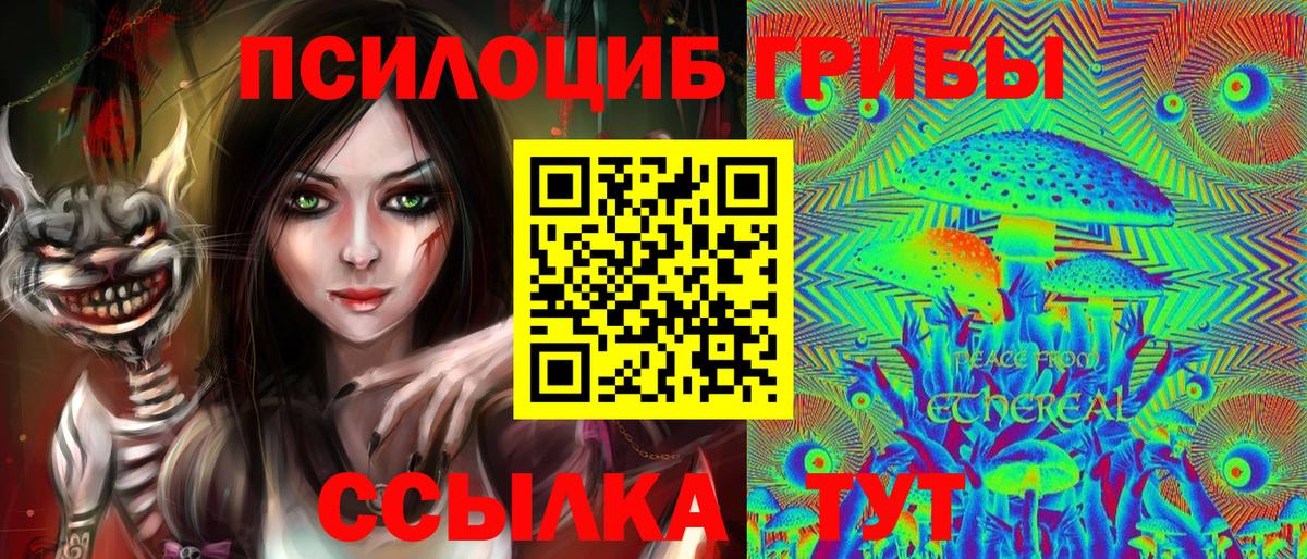 Набережные Челны  Галлюциногенные грибы прущие грибы  Вход с VPN 